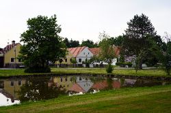 DSC03493